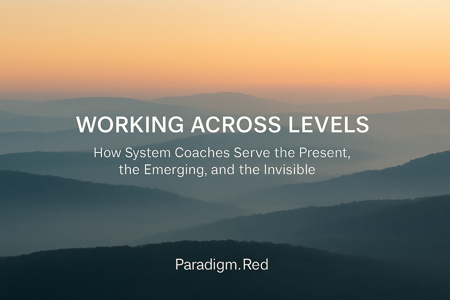 Working Across Levels: How System Coaches Serve the Present, the Emerging, and the Invisible
