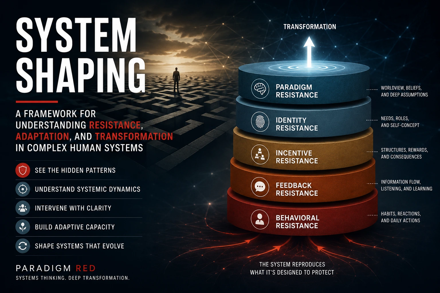 Introducing System Shaping: A Framework for Organizational Transformation, Systems Thinking, and Adaptive Change