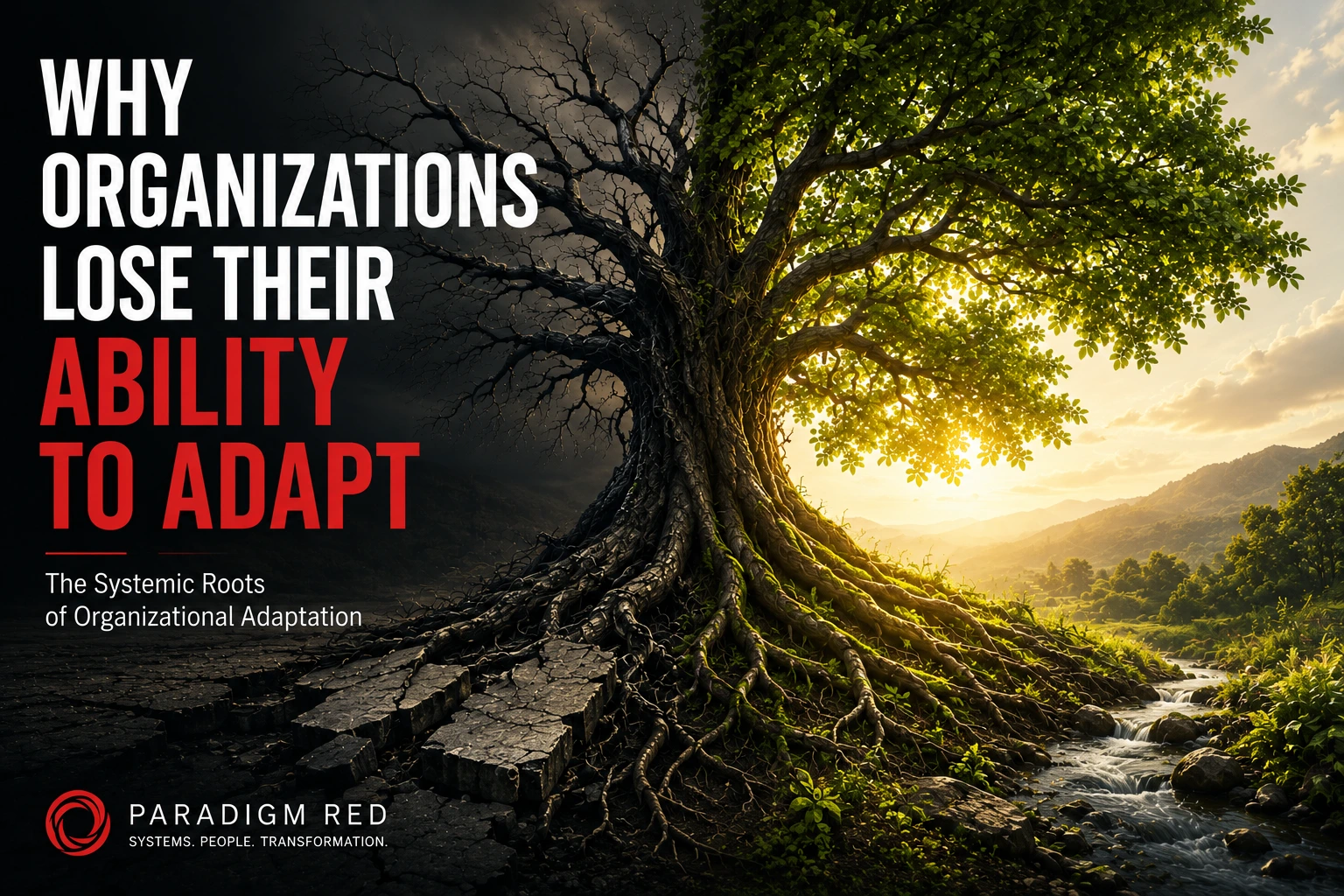 Why Organizations Lose Their Ability to Adapt