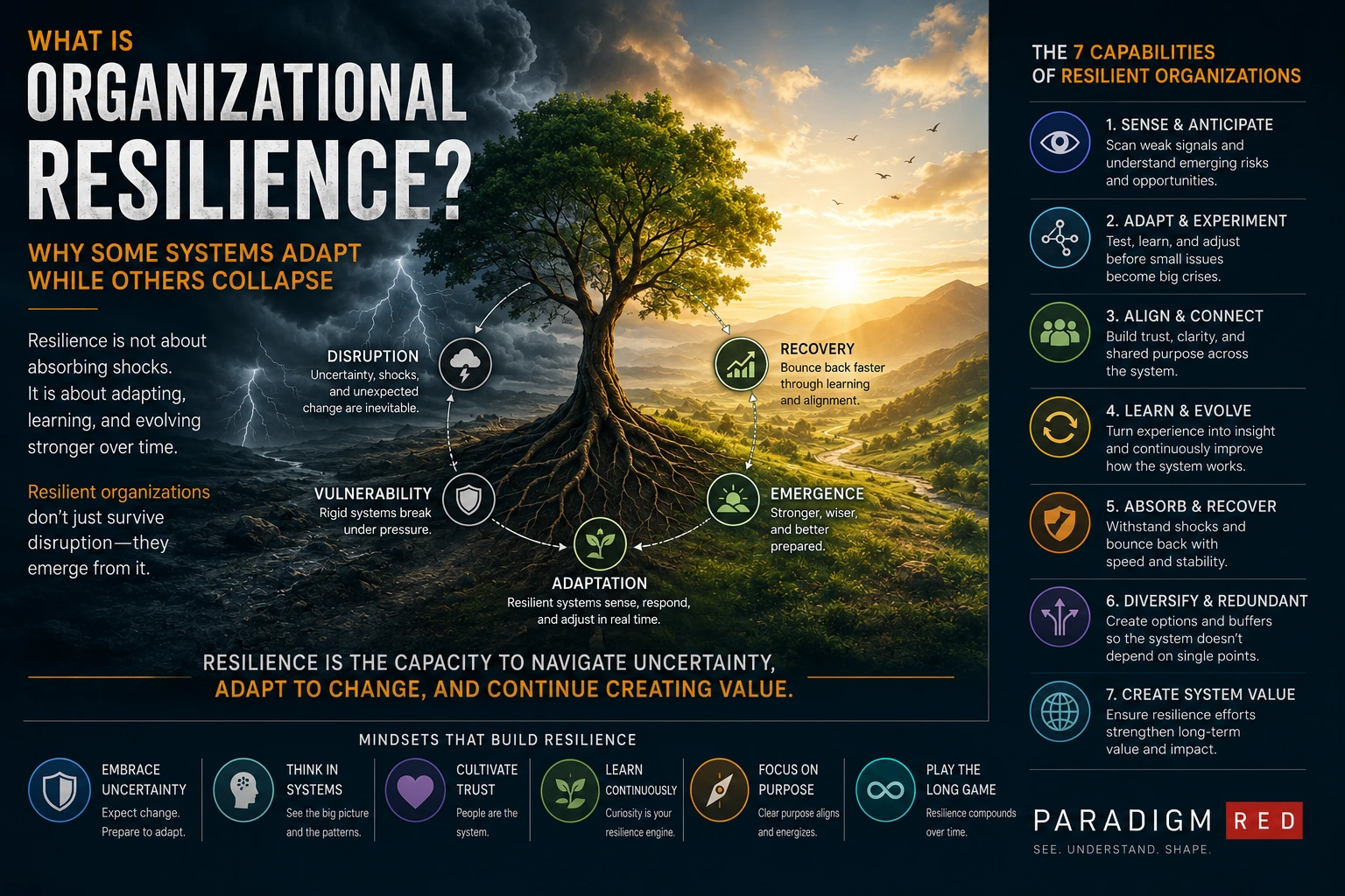 What Is Organizational Resilience? Why Some Systems Adapt While Others Collapse