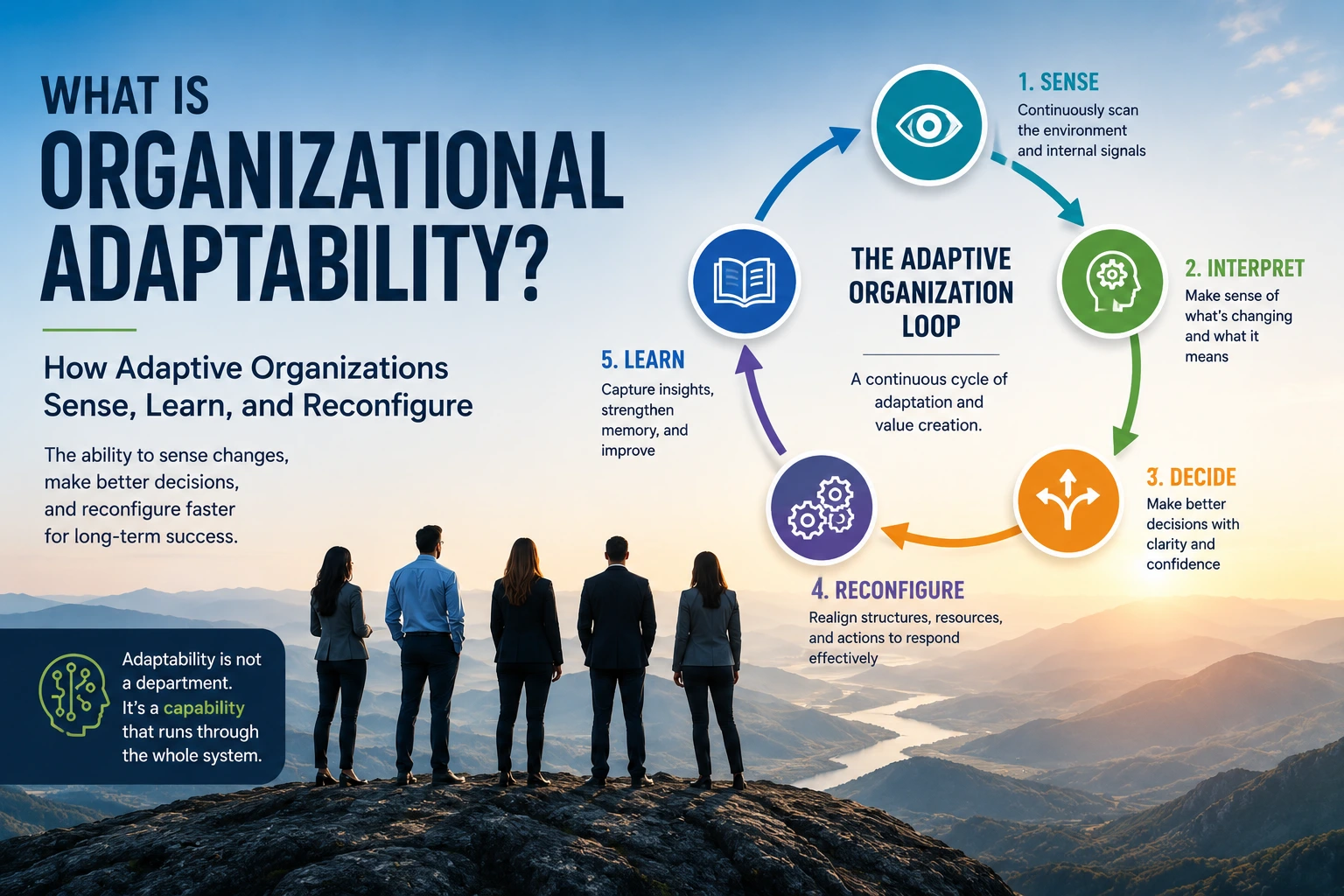 What Is Organizational Adaptability? How Adaptive Organizations Sense, Learn, and Reconfigure